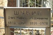 Шубик Давид Ицкович, Москва, Востряковское кладбище